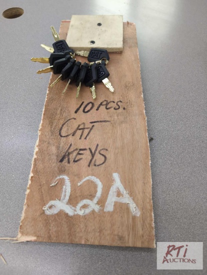 (10) Cat keys