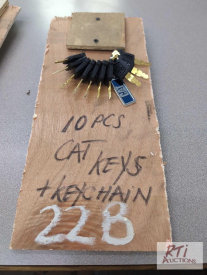 (10) Cat keys
