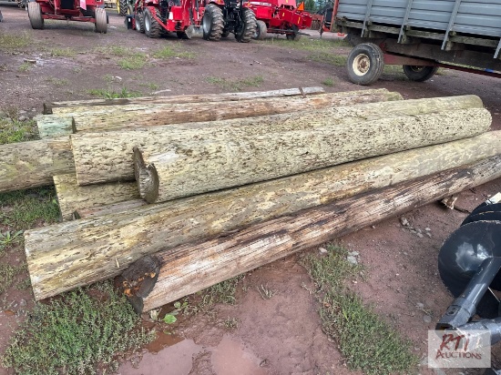 (15) Mixed size and length telephone poles.