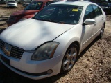 (T) 2006 NISSAN MAXIMA