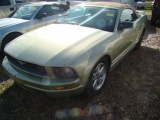 (BT) 2006 FORD MUSTANG