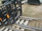 NEW SKID STEER FORKS