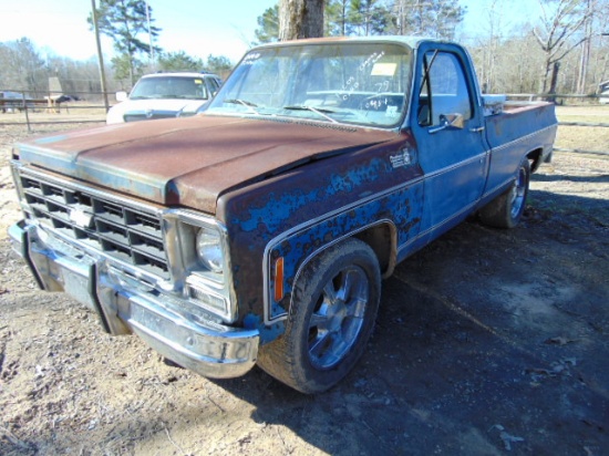 1979 CHEV CUSTOM DELUXE 10