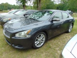 2011 NISAN MAXIMA