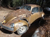 (INOP) (NT) VOLKSWAGON BEETLE