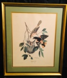 Signed Ray Harm - BALTIMORE ORIOLE 1963