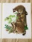 1972 Richard Timm - RACCOON - Signed -024475- 22” x 28” PROCYON LOTOR 024475