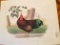 1978 Richard Sloan - RHODE ISLAND RED- Signed - 22” x 28”  500472