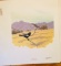 1976 Richard Sloan - LARK BUNTING - Signed - 22” x 28” CALAMOSPIZA MELANOCORYS - 422816