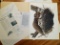 1969 Richard Sloan - GREAT HORNED OWL - Signed - 22” x 28” BUBO VIRGINIANUS - 071959