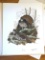 1971 Richard Sloan - RUFFED GROUSE - Signed - 22” x 28” BONASA UMBELLUS 122330