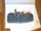 1970 Richard Sloan -PRAIRIE CHICKEN - Signed - 22” x 28” TYMPANUCHUS CUPIDO 112855