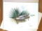 1973 Richard Sloan - GREEN-WINGED TEAL - Signed - 22” x 28” ANAS CAROLINENSIS  250265