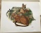 1974 Richard Timm - MOUNTAIN LION - Signed - 22” x 28” FELIS CONCOLOR 124679