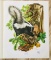 1973 Richard Timm - STRIPED SKUNK - Signed - 22” x 28” MEPHITIS MEPHITIS 040736