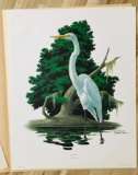 1975 Richard Sloan - GREAT EGRET - Signed - 22” x 28” CASMERODIUS ALBUS 372795