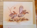 Jim Oliver - #113 OF 750 - BOB-WHITE QUAIL - Signed - 30” x 24” COULINS VIRGINIASUS