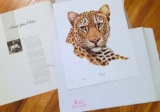 Jim Oliver - #113 OF 750 - LEOPARD - Signed - 30” x 24” PANTHERA PARDUS