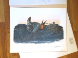 1970 Richard Sloan -PRAIRIE CHICKEN - Signed - 22” x 28” TYMPANUCHUS CUPIDO 112855