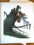 1972 Richard Sloan -BROWN THRASHER - Signed - 22” x 28” TOXOSTOMA RUFUM 222276