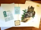 1973 Richard Timm -BADGER - Signed - 22” x 28” TAXIDEA TAXUS 101897