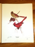 Jim Oliver - Signed Lithograph- 113/750 - CARDINALS - 11” X 17”  RICHMONDENA CARDINALIS