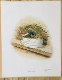 1975 Richard Sloan - CAROLINA WREN- Signed - 22” x 28” THRYOTHORUS LUDOVICIANUS 361813