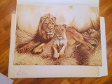 Jim Oliver - #113 OF 750 Lithograph  - LIONS- Signed - 30” x 24” PANTHERA LEO