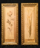 2 Gold Framed Prints of ROSE & Freesia