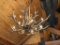 Elk Antler Chandelier, Large Significant Art