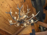 Elk Antler Chandelier, Large Significant Art