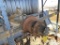 2012 F350 Dually Rear Axle 373