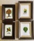 4 Framed Embroidery