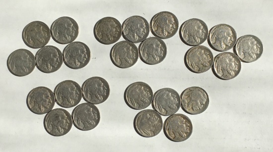 25 Indian Head Nickels (b)