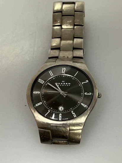 Skagen Wrist Watch