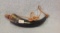 Bone Powder Horn  12 inches long