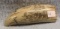 Scrimshaw with Ship Carvings and Eagle