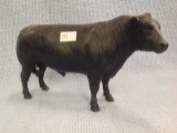 Mr Hale's Bull