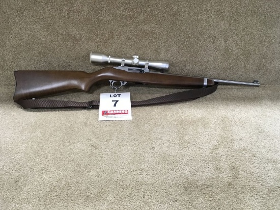 Ruger model 10-22 stainless carbine