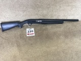 Browning Gold 10 ga. Shotgun