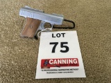 Raven Arms P25