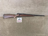 Savage 521 .22 cal