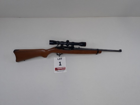 Ruger 10-22 Rifle 22CAL