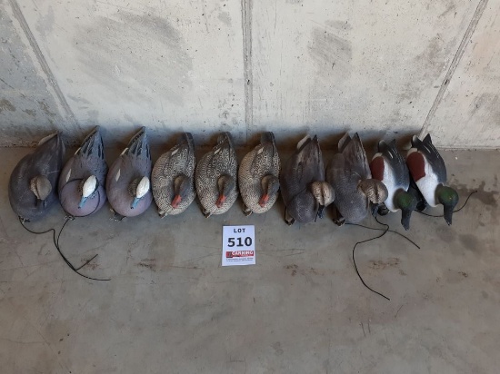 10 Floating Decoys
