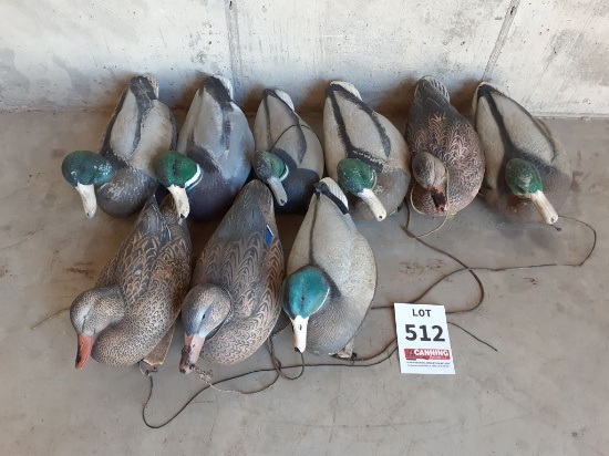 9 Floating Mallards