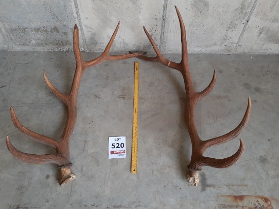 Pair of Elk Atlers