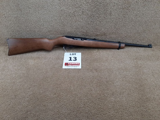 Ruger 10-22 22CAL