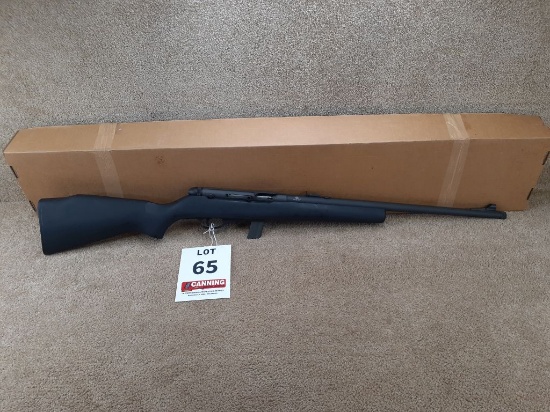Rock Island Arms M20P 22CAL
