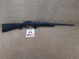 Savage Model 64 22CAL LR ONLY