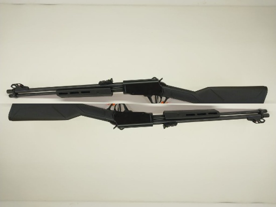 Rossi Gallery 22CAL